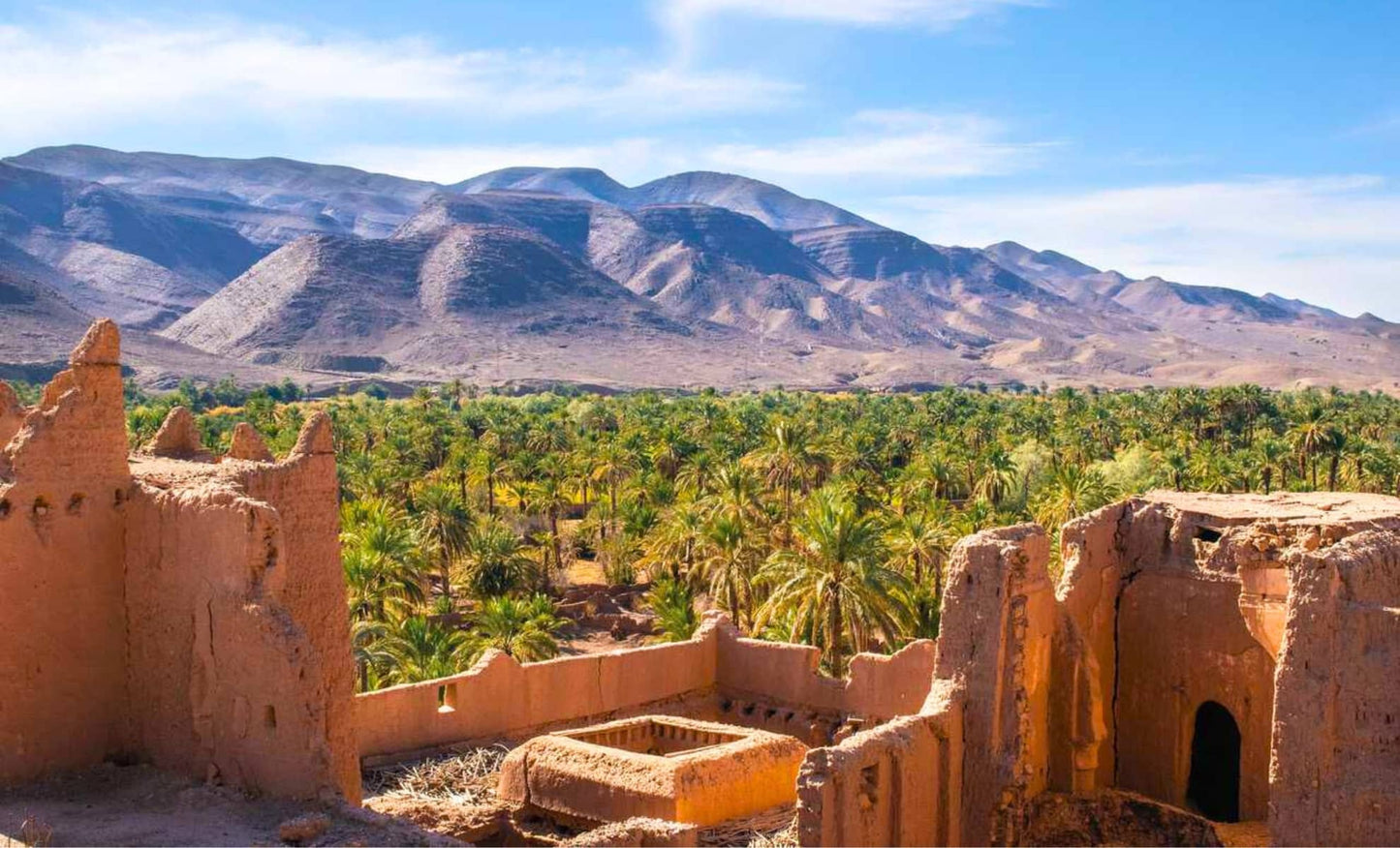 Dattes Mejhoul Large de Tafilalet - 1 KG | Trésor du Maroc